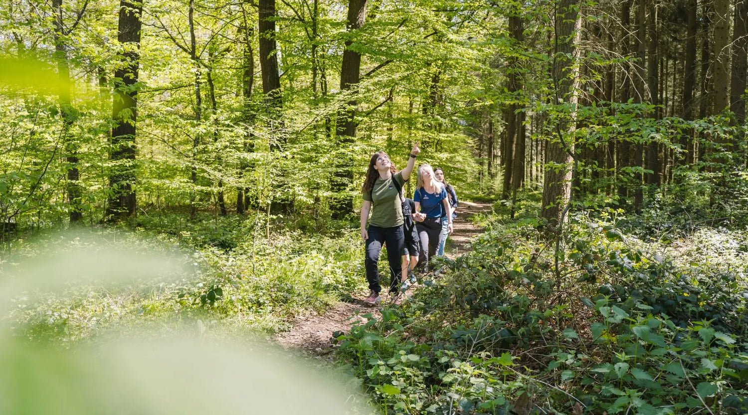 10 Dinge, die du über die Arbeit als Waldführer*in wissen musst