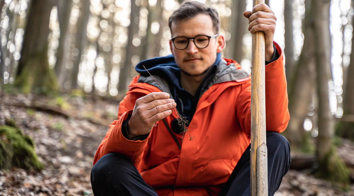 Wie wirkt sich Wiederaufforstung auf den Wasserkreislauf aus?