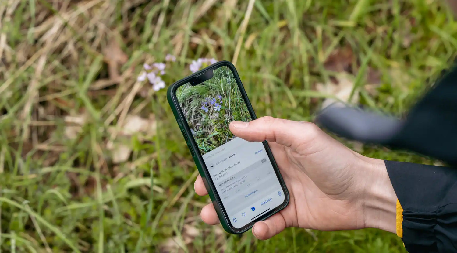 Bestimmungsapps: Tipps zur Anwendung