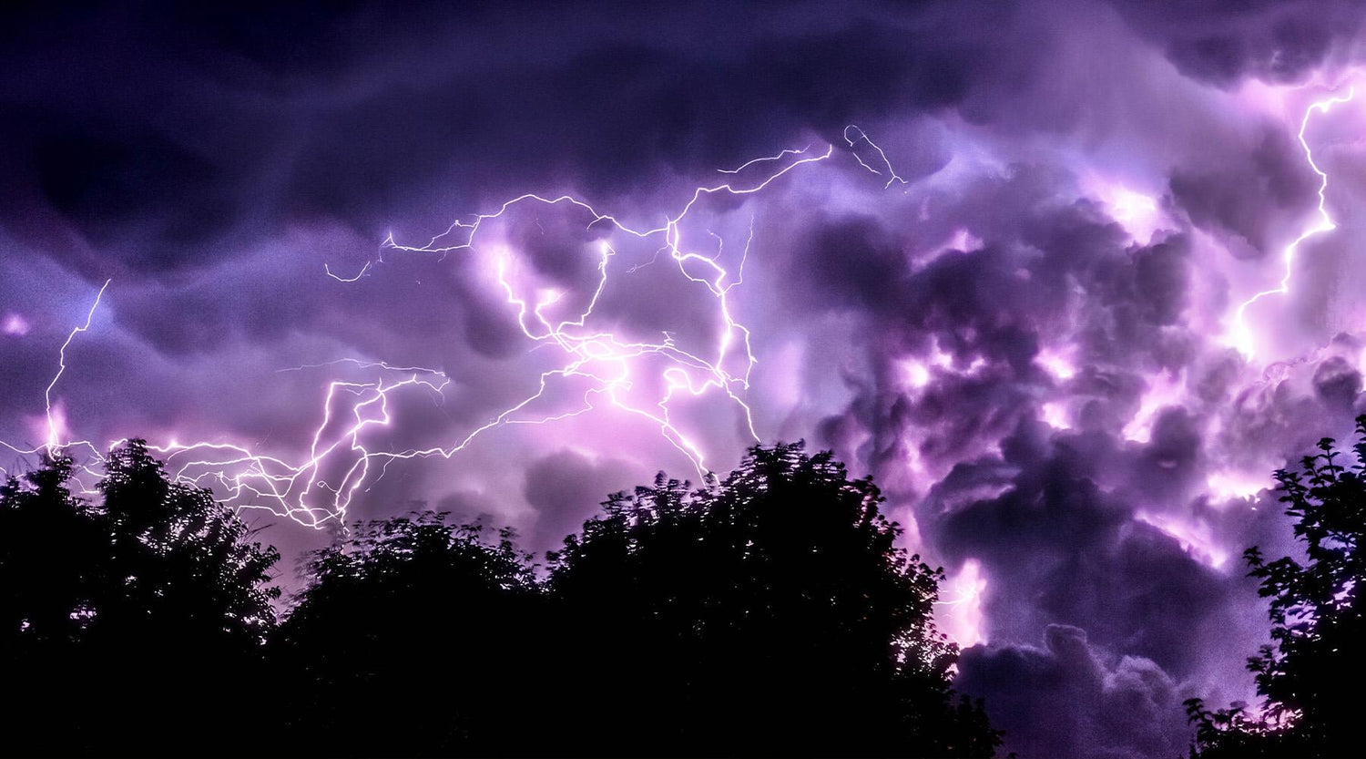 Buchen sollst du suchen?