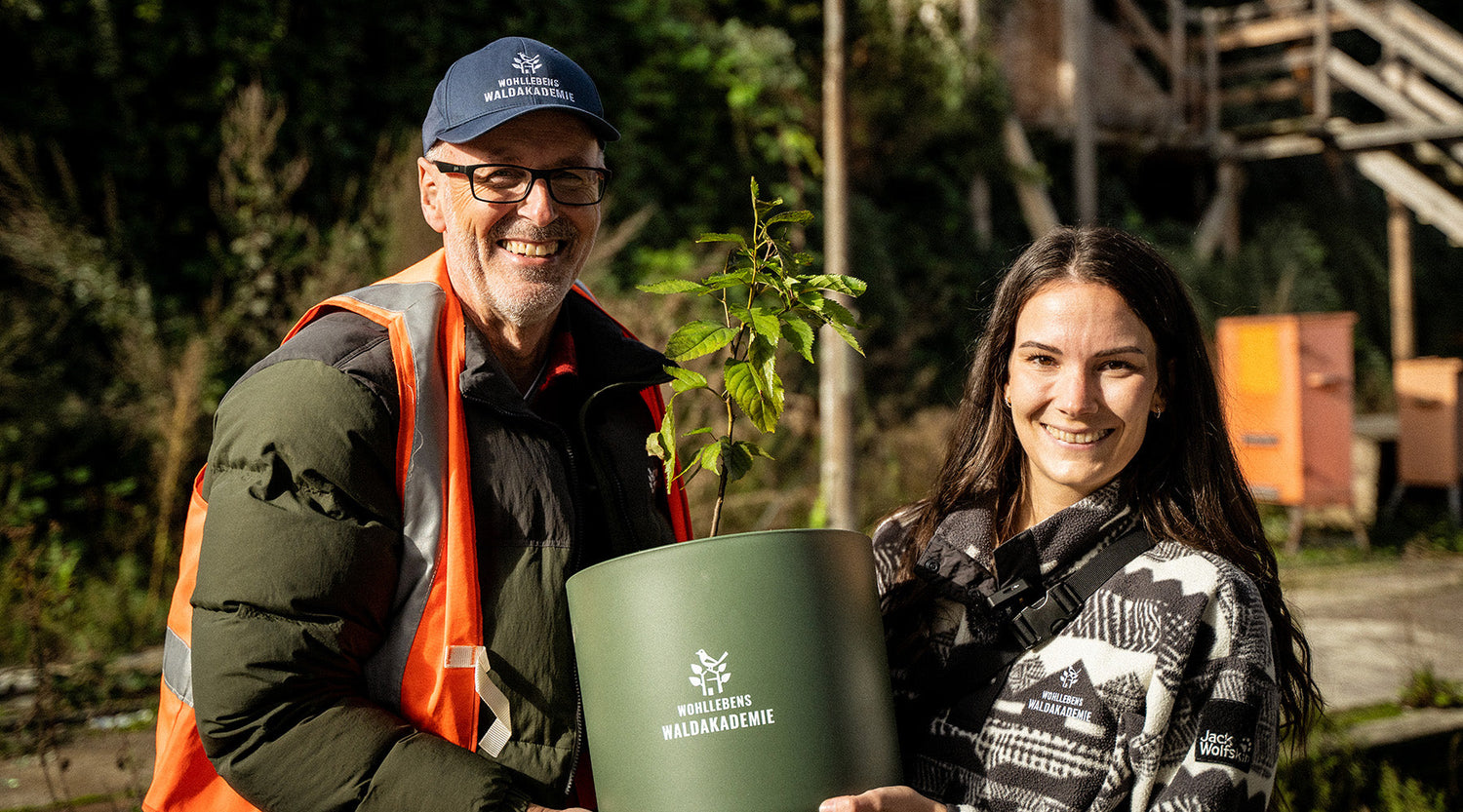 Der Kirschbaum vom Hamburger Gleis 14 findet sein neues Zuhause in der Waldakademie