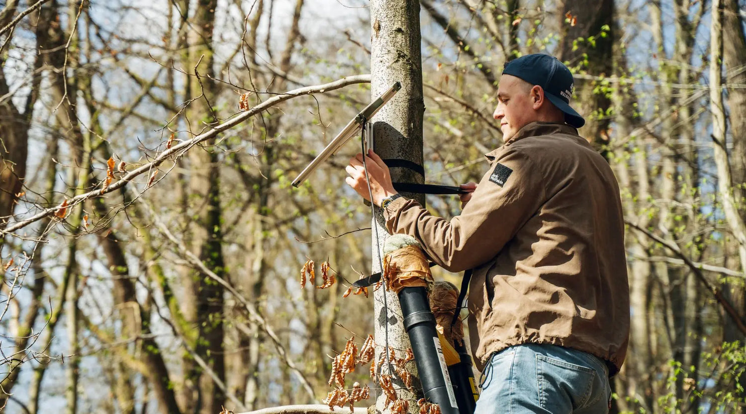 Künstliche Intelligenz im UrwaldProjekt