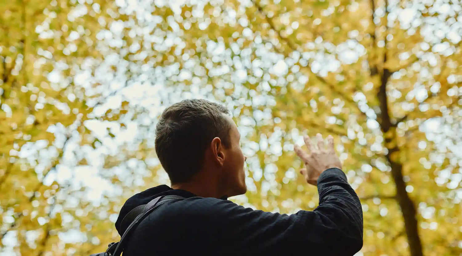 Goldener Oktober â Herbst im Laubwald