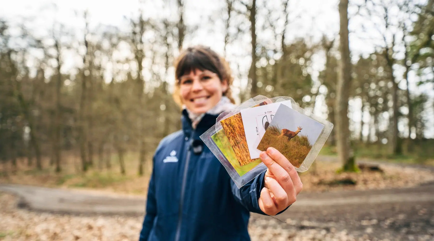 Baumtelefon, Nature Journaling und mehr: 4 kreative Ideen für waldpädagogische Aktivitäten