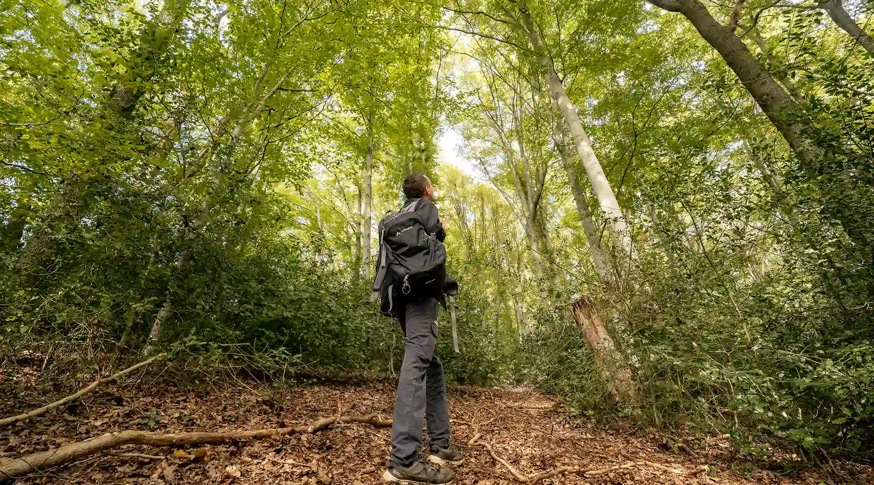 Neue UrwaldProjekt-Fläche im Bergischen Land