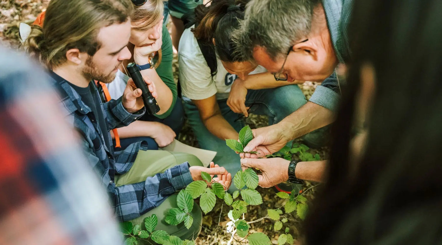 5 Anzeichen, dass die Arbeit als Waldführer*in perfekt für dich ist