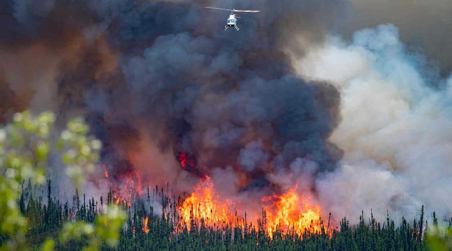 Waldbrandgefahr: Wie entstehen Waldbrände?