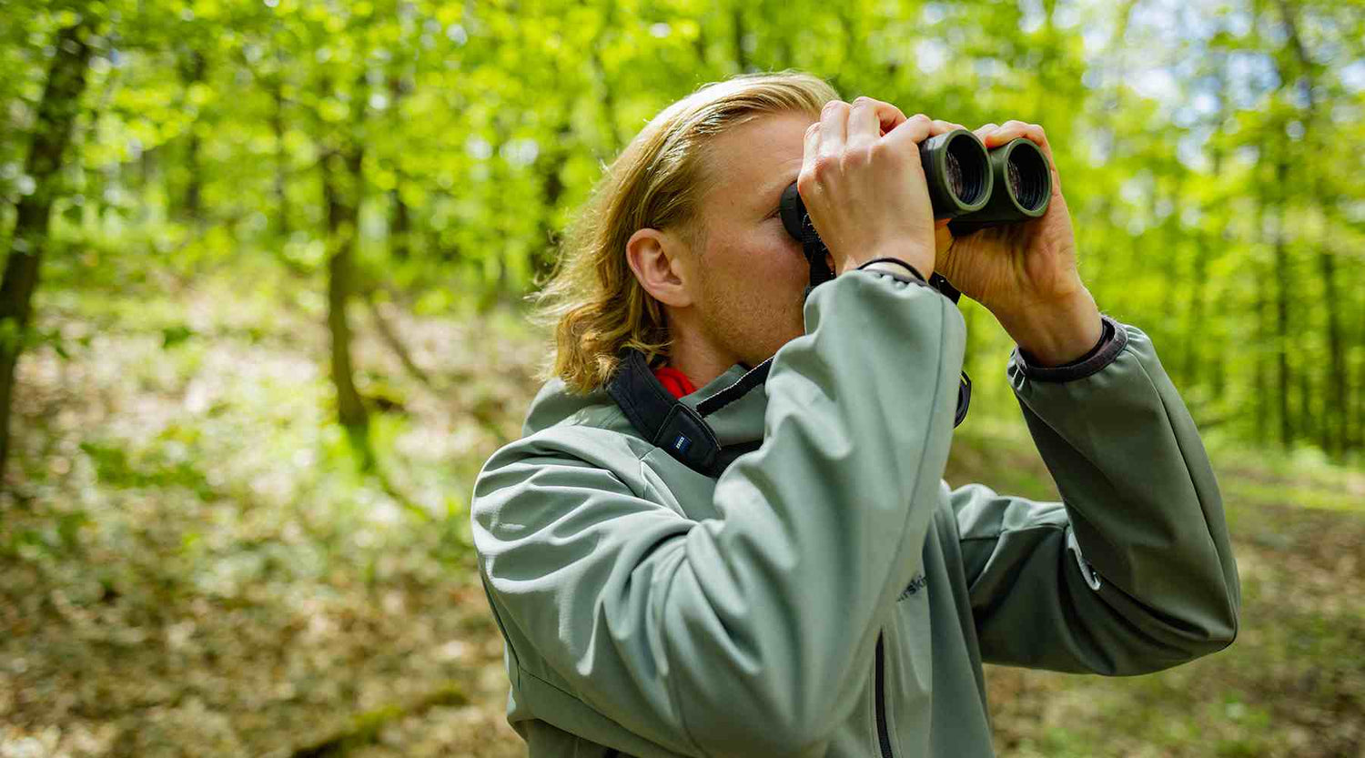 Vogelschwund - wo sind die Vögel geblieben?