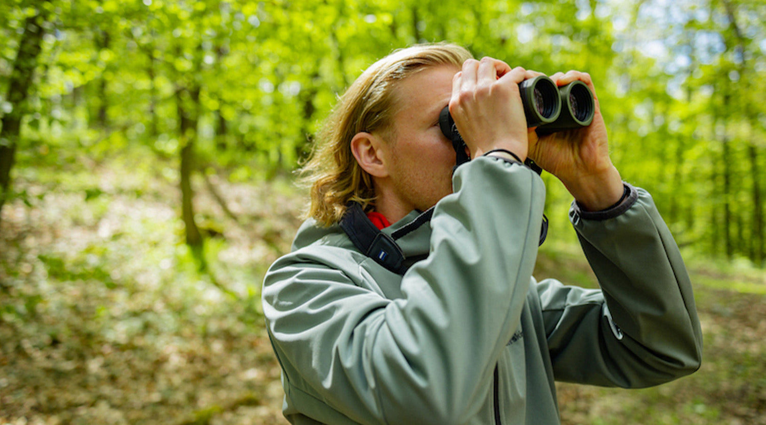 Vogelbeobachtung fĂŒr Einsteiger - Tipps & Tricks