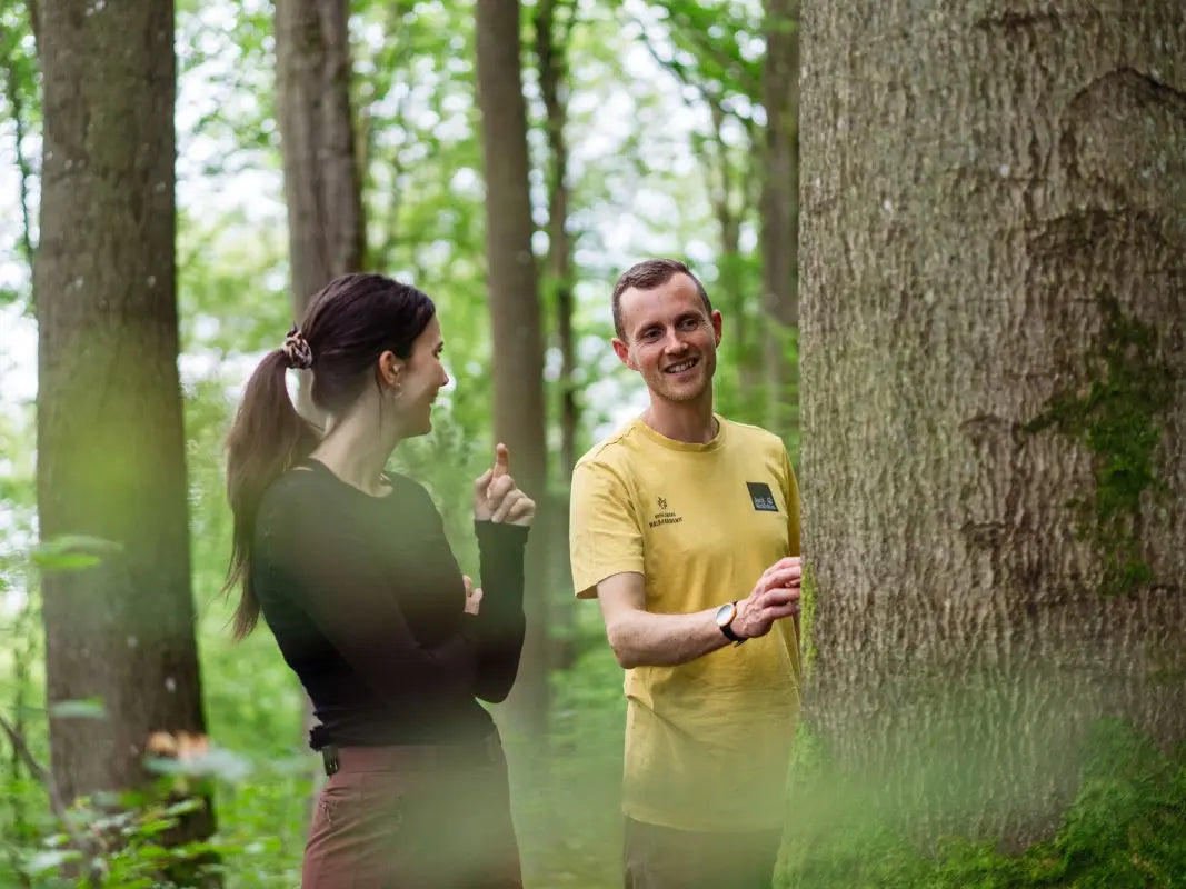 Baumbestimmung kompakt - Bäume lesen lernen - 3-tägig