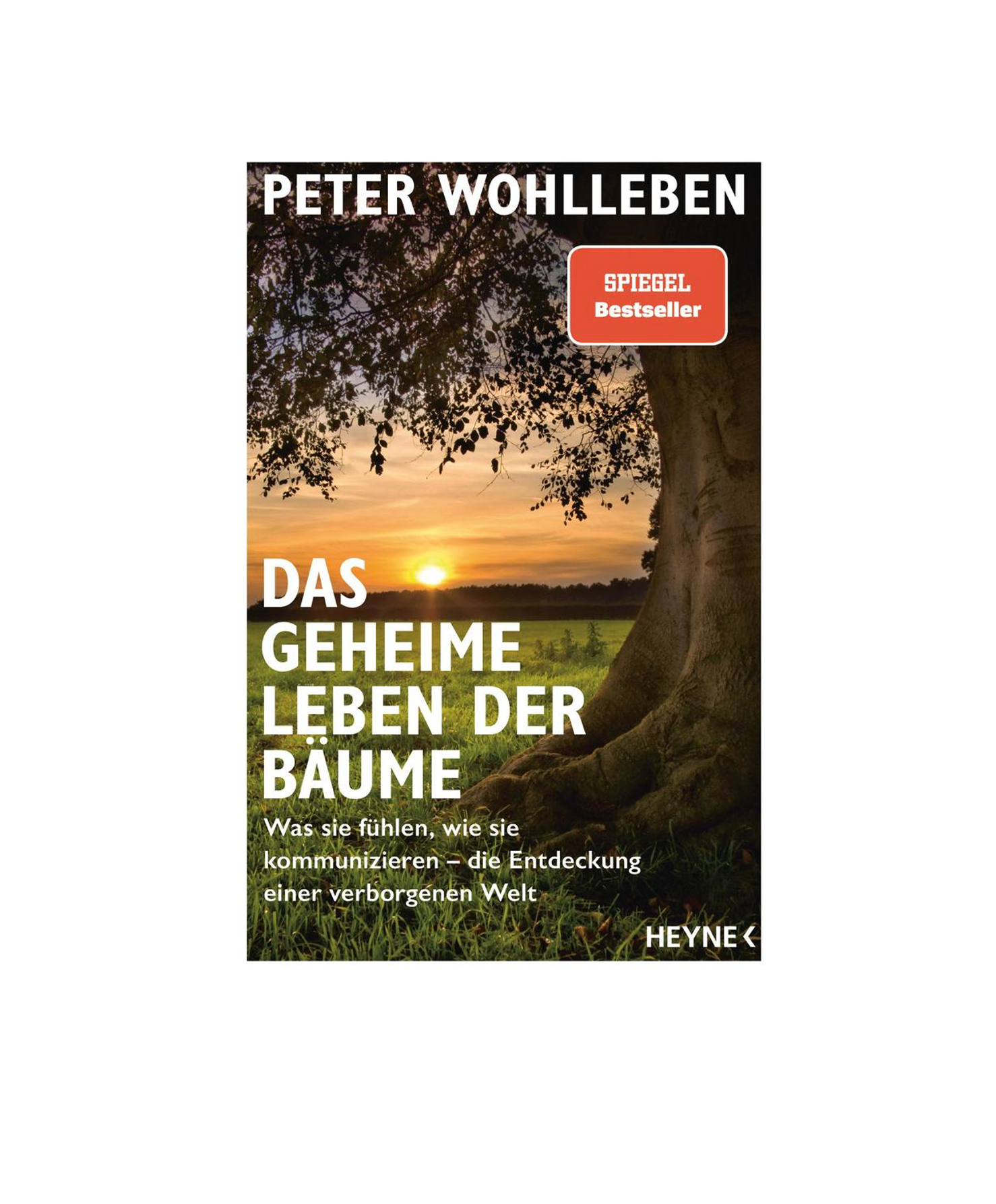 Das geheime Leben der Bäume: Die Entdeckung einer verborgenen Welt