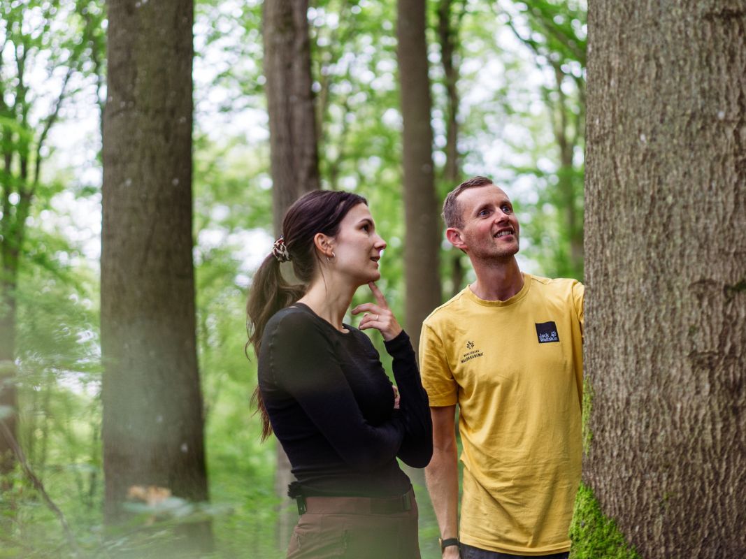 Zwei Personen beobachten und diskutieren in einem üppigen Wald in einem Wohllebens Waldakademie Seminar Eifel einen großen Baumstamm, beschäftigen sich mit der Pflanzenbestimmung und bewundern die botanische Vielfalt.
