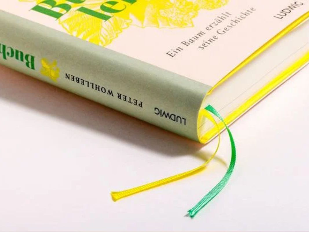 Buchenleben – Ein Baum erzählt seine Geschichte