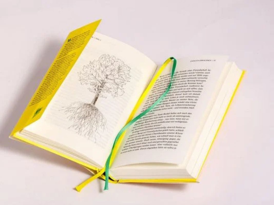 Buchenleben – Ein Baum erzählt seine Geschichte