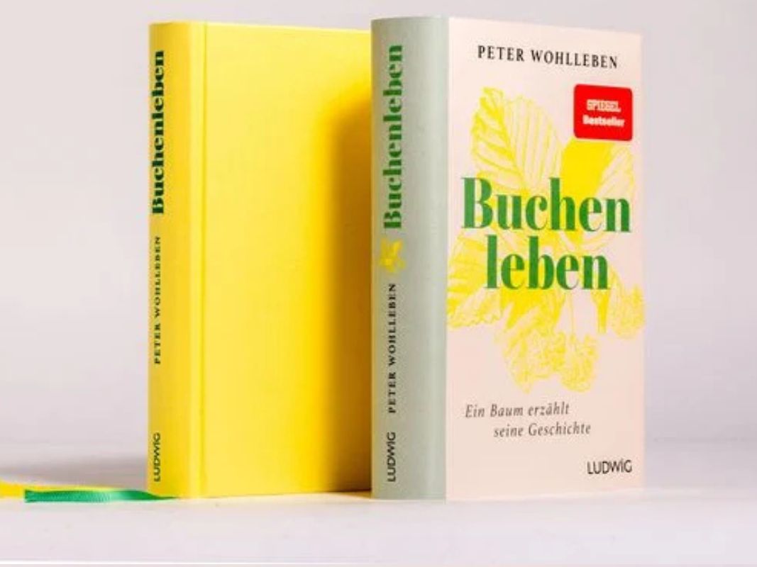 Buchenleben – Ein Baum erzählt seine Geschichte