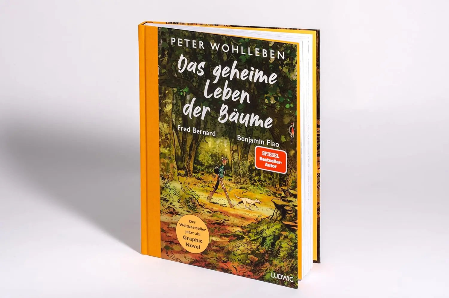 Das geheime Leben der Bäume" von Peter Wohlleben aus Wohllebens Waldakademie ist mit einer illustrierten Walddecke versehen und auf weißem Hintergrund abgebildet - eine ideale Wahl für Liebhaber von Graphic Novels zum Thema Natur.