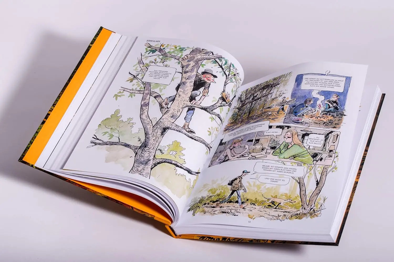 Ein aufgeschlagener Bildband mit farbenfrohen Outdoor-Szenen von Menschen, die auf Bäume klettern und zelten - er erinnert an eine Graphic Novel der Wohllebens Waldakademie.
