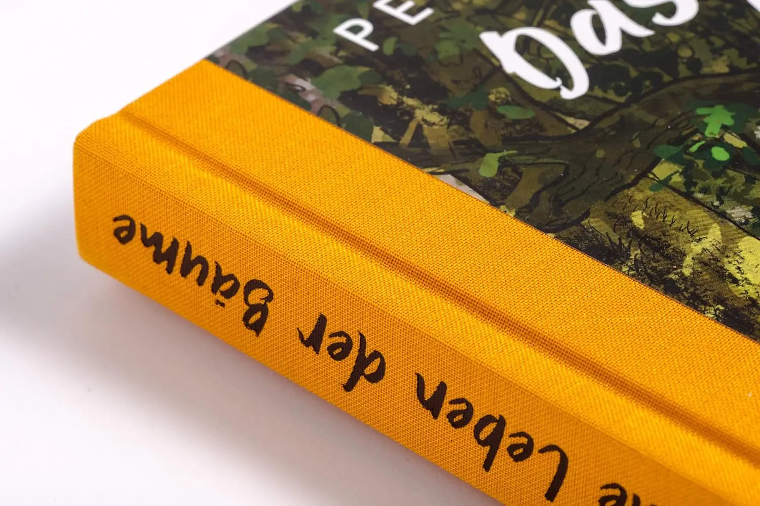 Nahaufnahme eines Buchrückens mit gelbem Stoff und schwarzem Text: Das Leben der Bäume, herausgegeben von Wohllebens Waldakademie, in Anlehnung an Peter Wohllebens gefeiertes Werk Das geheime Leben der Bäume.