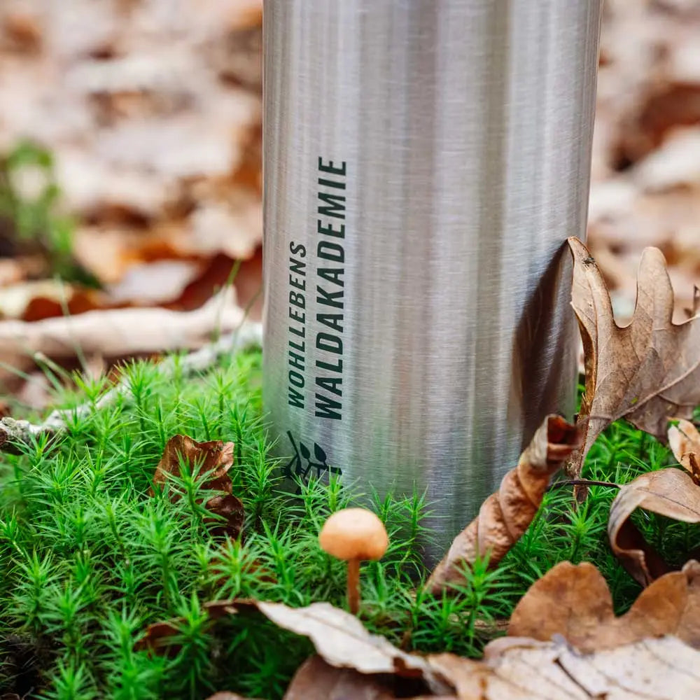 Eine Edelstahlflasche von Wohllebens Waldakademie steht auf Moos zwischen Blättern und einem kleinen Pilz - die nachhaltige Alternative für unterwegs.