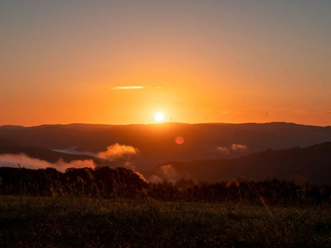 Erlebniswanderung Goldene Stunden