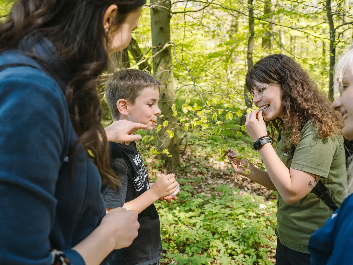 Gemeinsam mit Wohllebens Waldakademie essbare Pflanzen entdecken und probieren - ideal für eine Eifelwanderung mit Kindern oder ein Familienabenteuer, das Lernen, Erkunden und Spaß in der Natur verbindet.
