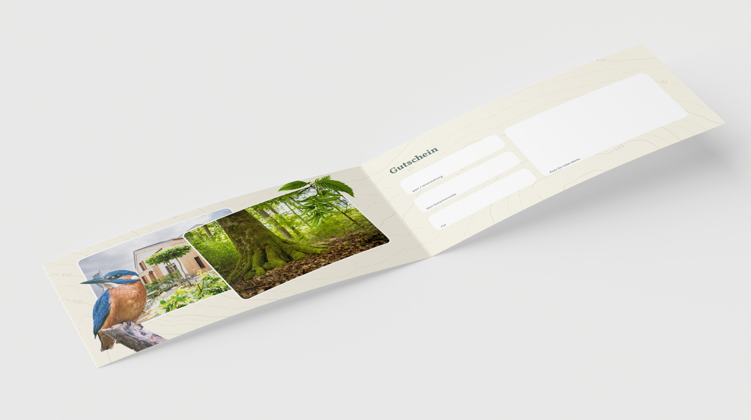Die offene Karte von Wohllebens Waldakademie zeigt Fotos von einem Vogel, einem Haus und einem Wald; deutsche Textfelder auf der rechten Seite heben die einzigartigen Eigenschaften der Geschenkkarte hervor.