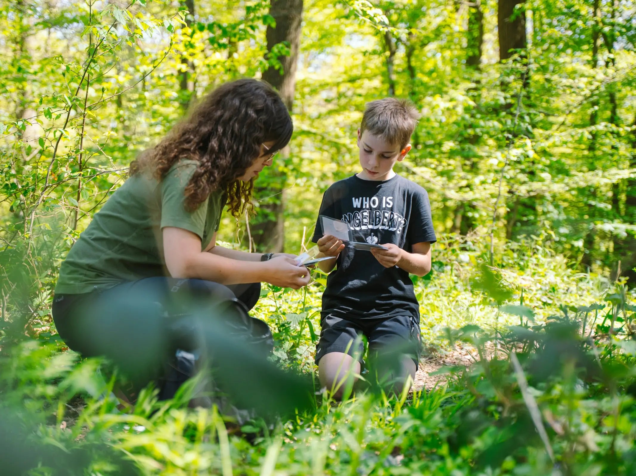 Zwei Kinder knien in einem sonnenbeschienenen Wald und erkunden die Natur auf der Wiese - ein idealer Moment aus dem Waldkurs 7-10 Jahre oder der Juniorförster Ausbildung der Wohllebens Waldakademie.