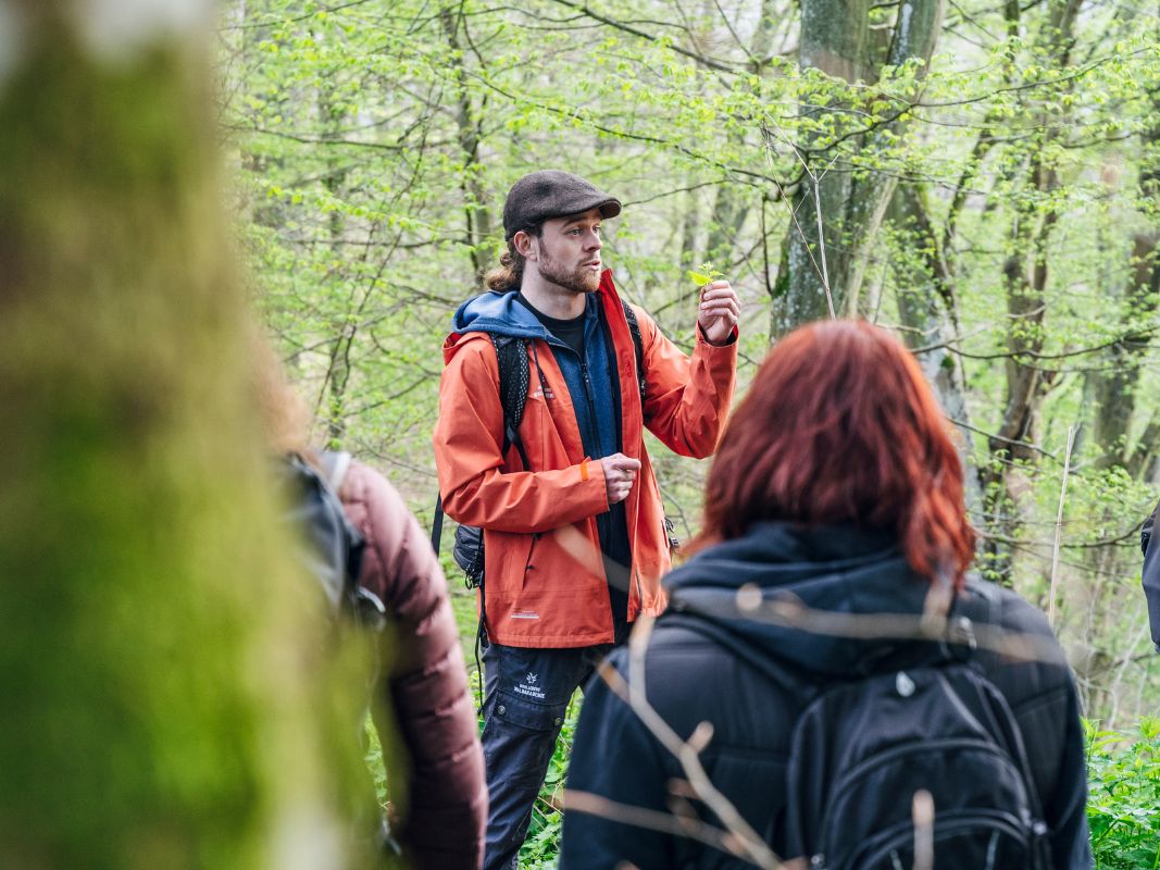 Kräuterwanderung