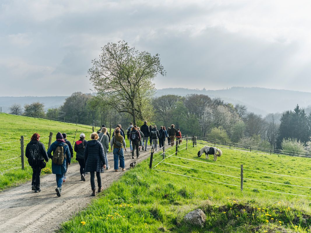 Kräuterwanderung