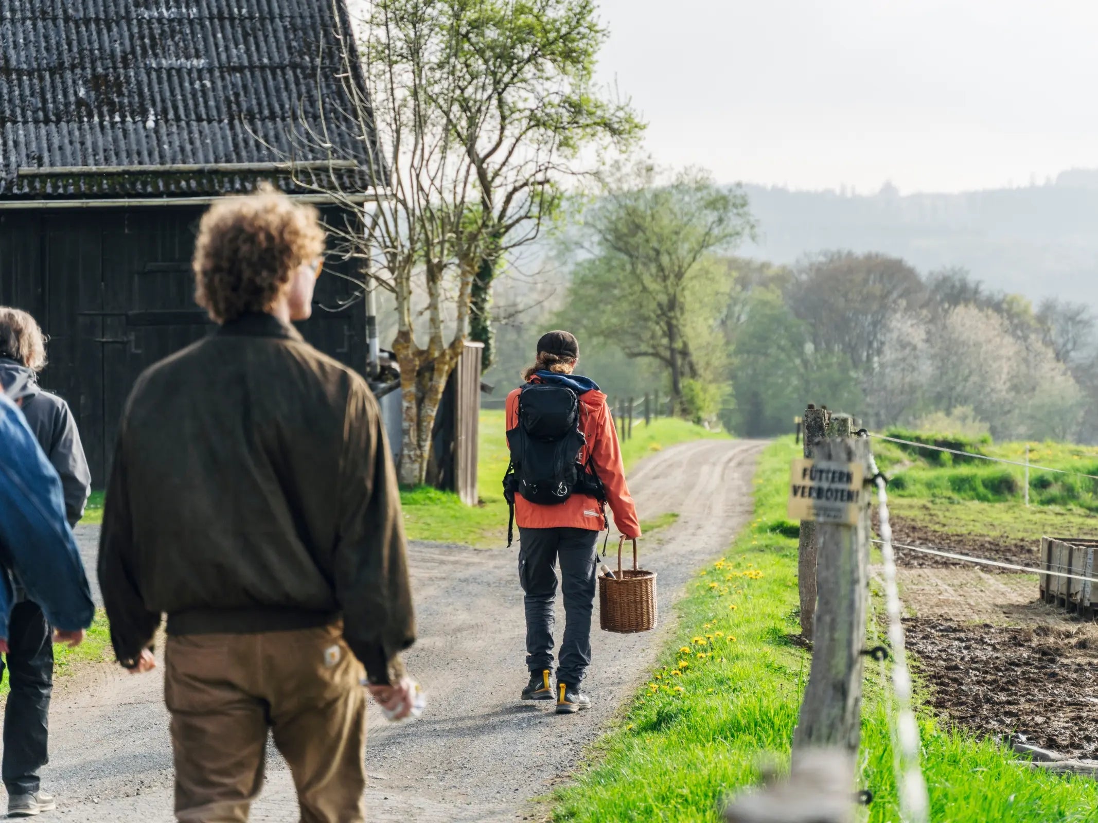 Drei Personen nehmen an einem Wildkräuterkurs Eifel der Wohllebens Waldakademie teil und wandern auf einem ländlichen Weg, wobei einer einen Korb trägt. Grüne Felder, Bäume und essbare Pflanzen säumen den Weg.