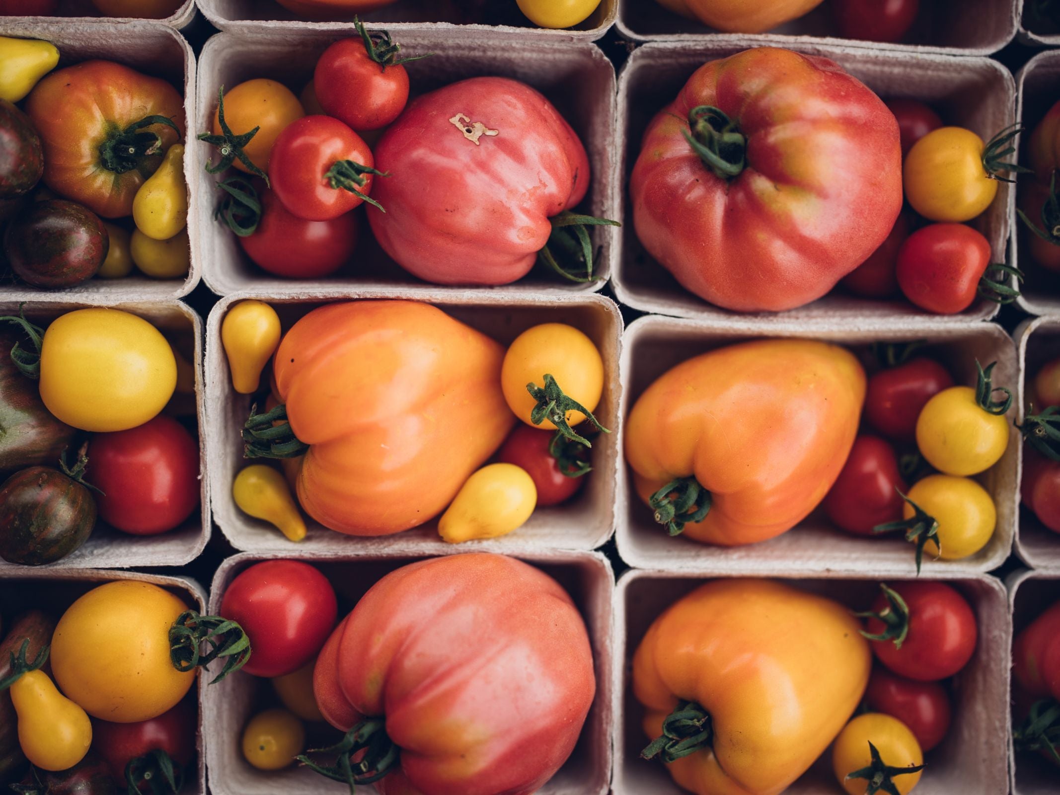 Lesung: "Gemüsepower" mit Lucia Francesca Schauerhammer von Dorfgarten