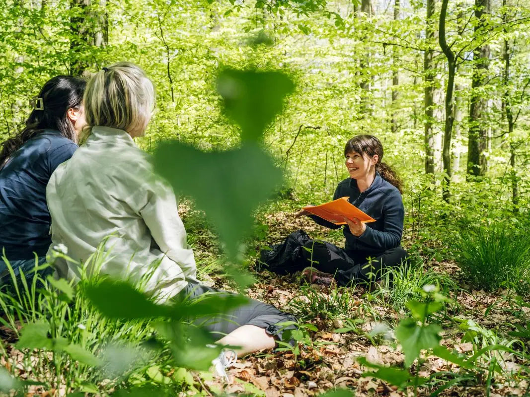 Drei Frauen sitzen in einem üppigen grünen Wald, eine liest aus einem orangefarbenen Buch - eine inspirierende Szene der Waldpädagogik in einem natürlichen Klassenzimmer von Wohllebens Waldakademie.