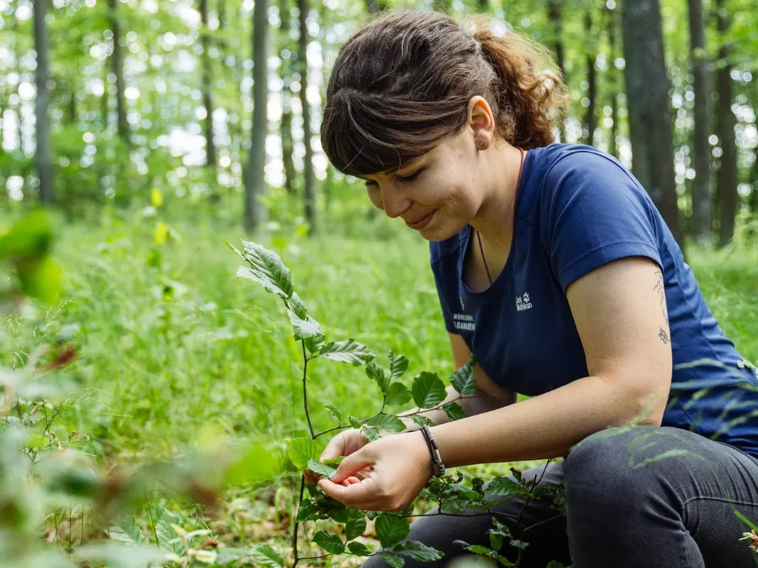 Eine Frau kniet in einem üppigen Wald und kümmert sich um eine junge Pflanze inmitten von üppigem Grün - eine friedliche Szene, inspiriert von Waldpädagogik und Wohllebens Waldakademie.