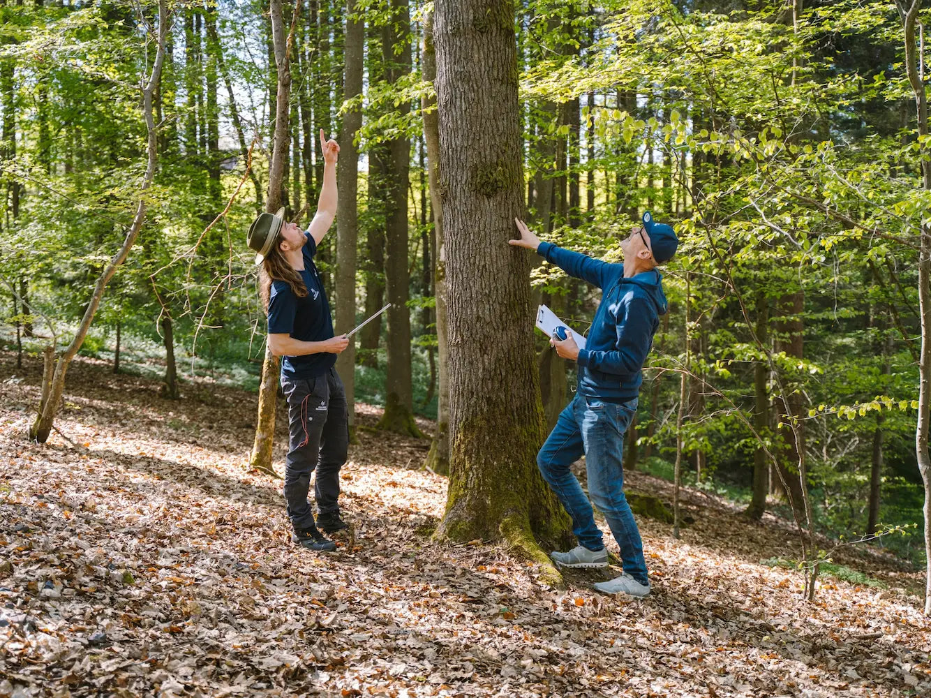 Zwei Menschen in einem Wald - einer zeigt nach oben, der andere macht sich Notizen - diskutieren über nachhaltige Forstwirtschaft und Klimaanpassung, inspiriert von Wohllebens Waldakademie.