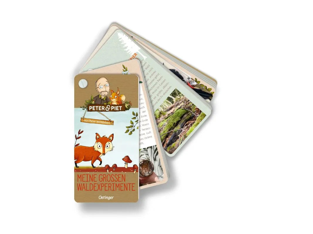 Das illustrierte Büchlein "Meine großen Waldexperimente" von Peter Wohlleben & Piet, von Wohllebens Waldakademie, zeigt einen Fuchs auf dem Cover und bietet spannende Experimente für Kinder rund um den Wald.