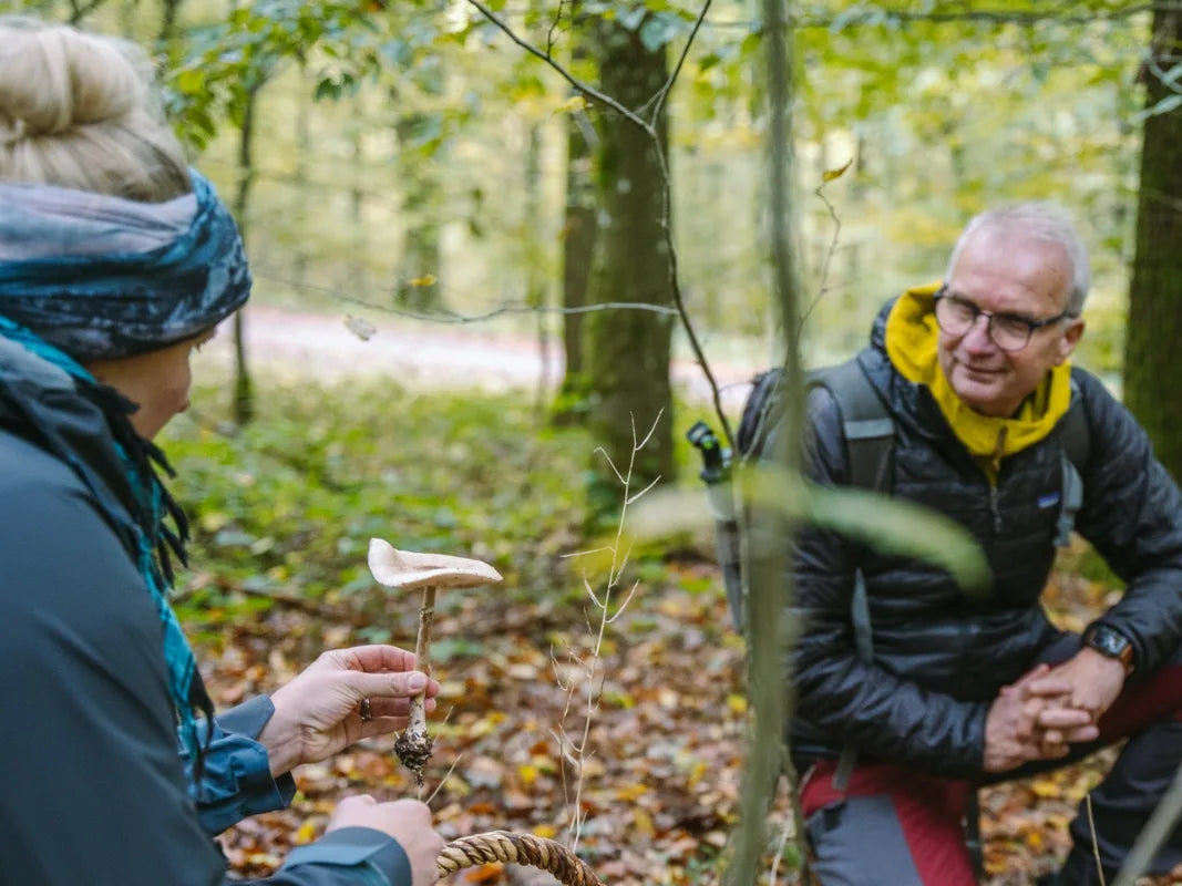In einem Wald hält eine Person eine essbare Pilze, während die andere bei einem Pilzseminar der Wohllebens Waldakademie lernt, wie man Pilze bestimmt.