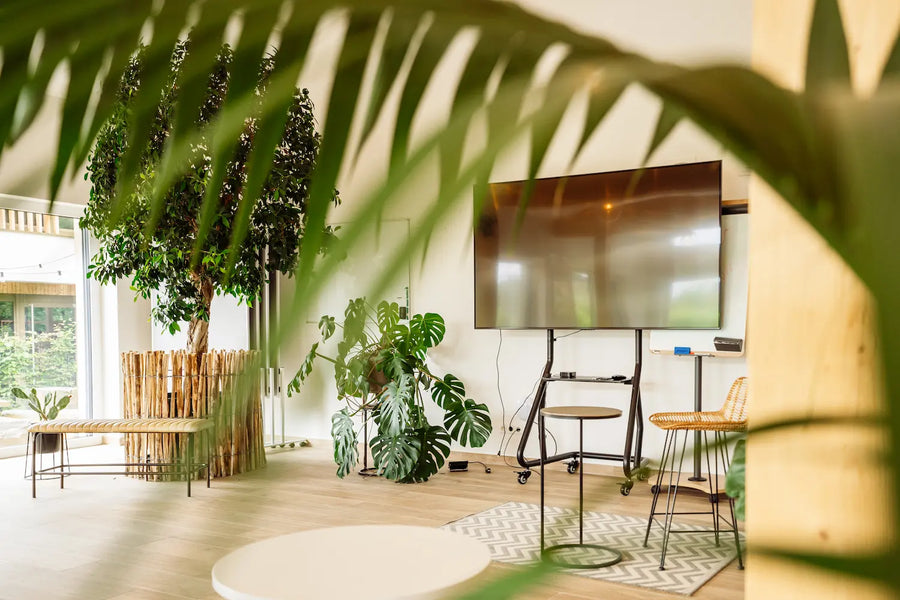 Das Seminarhaus – unser größter Tagungsraum – Tagungsraum Wohllebens Waldakademie, Eifel