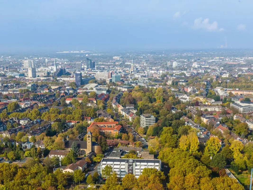 Stadtansicht aus der Luft mit Gebäuden und entfernten Wolkenkratzern unter klarem Himmel, die Stadtgrün und Bäume in der Stadt hervorheben - präsentiert von Wohllebens Waldakademie.