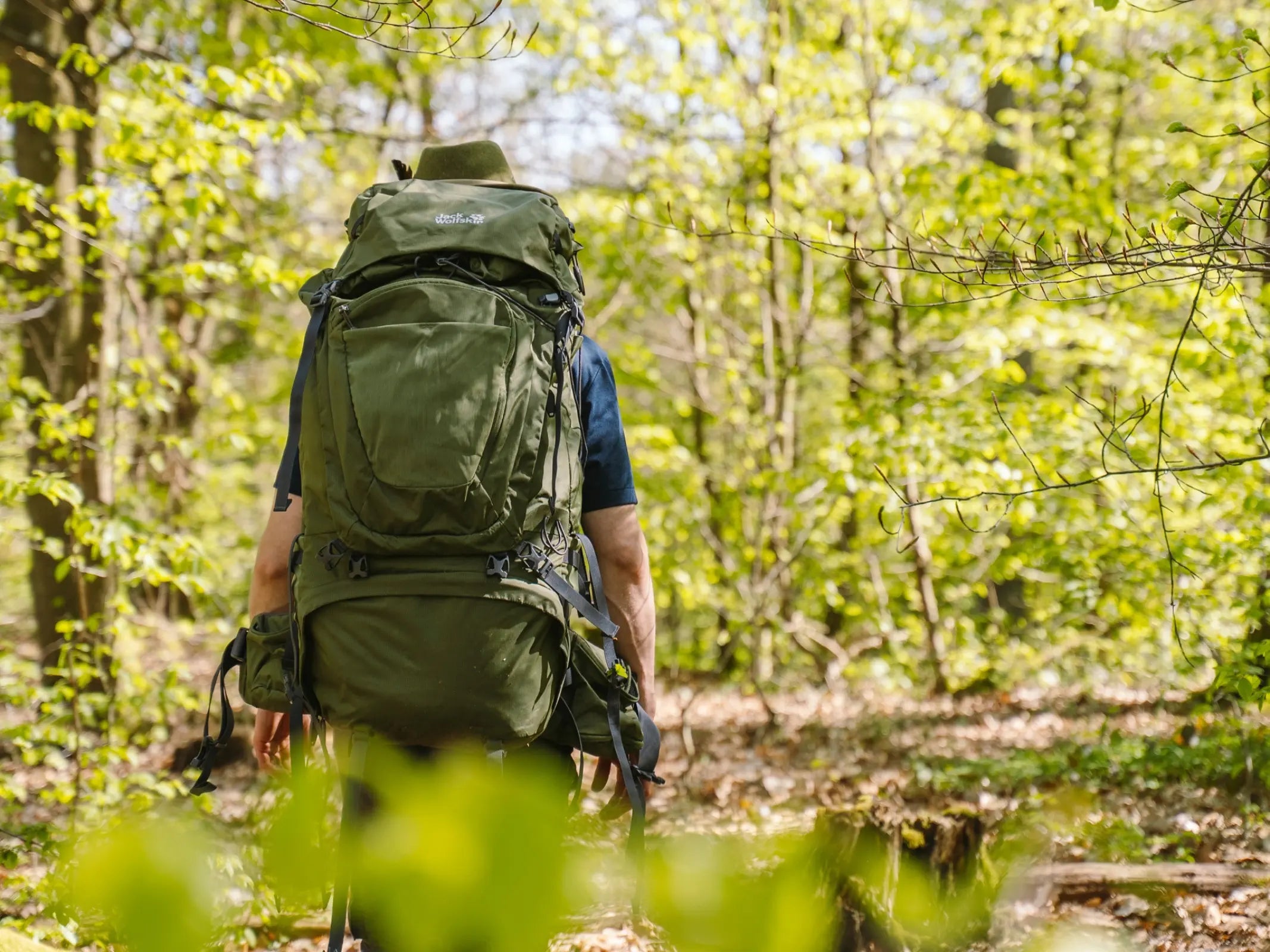 Eine Person mit großem grünem Rucksack von Wohllebens Waldakademie wandert auf einem Abenteuer durch den sonnenbeschienenen, blättrigen Forst.