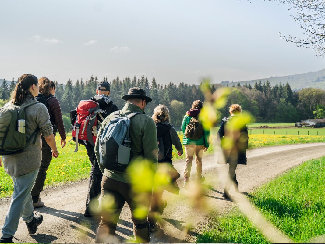 Eine Gruppe mit Rucksäcken wandert auf einem Feldweg durch die grüne Landschaft und genießt eine von Peter Wohlleben inspirierte Wohllebens Waldakademie Erlebnis Wald.
