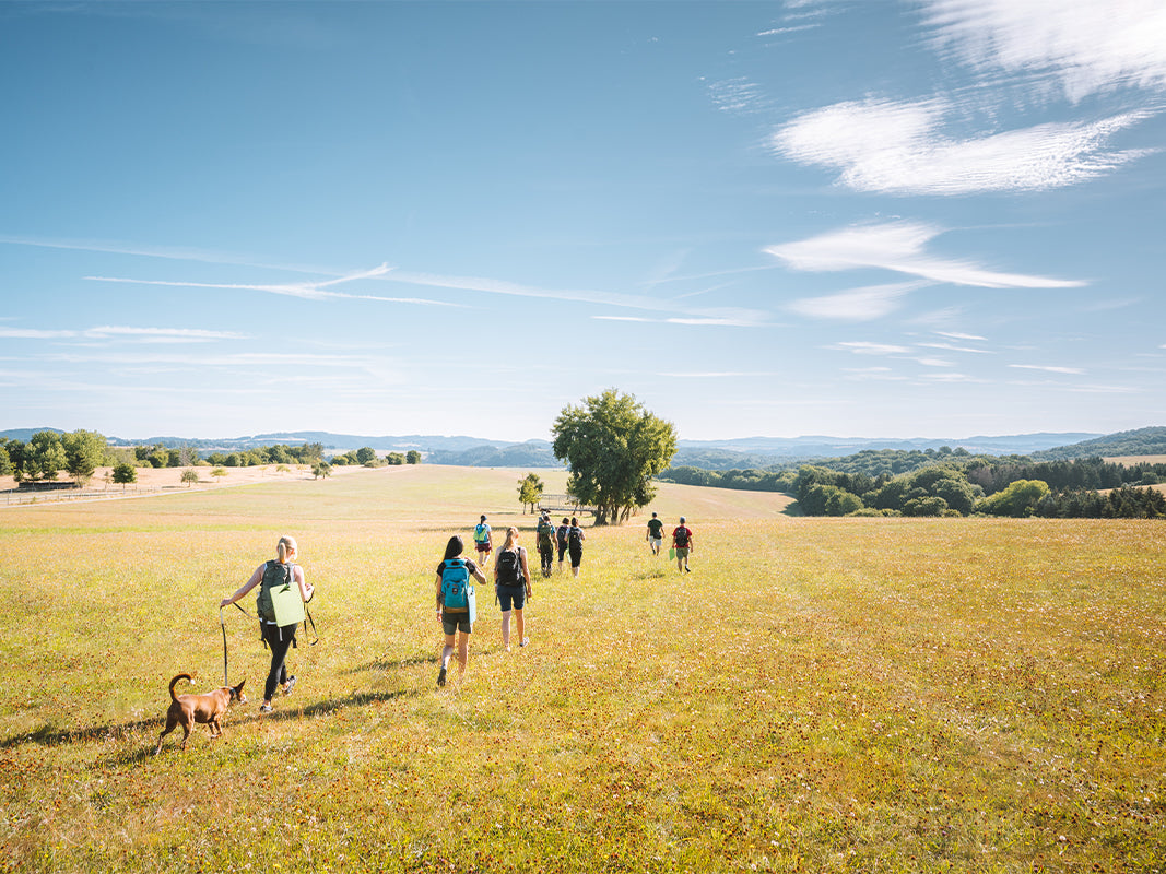 Eine Gruppe mit Hund wandert unter blauem Himmel durch eine sonnige Wiese und genießt ein von Peter Wohlleben inspiriertes Naturerlebnis der Wohllebens Waldakademie.
