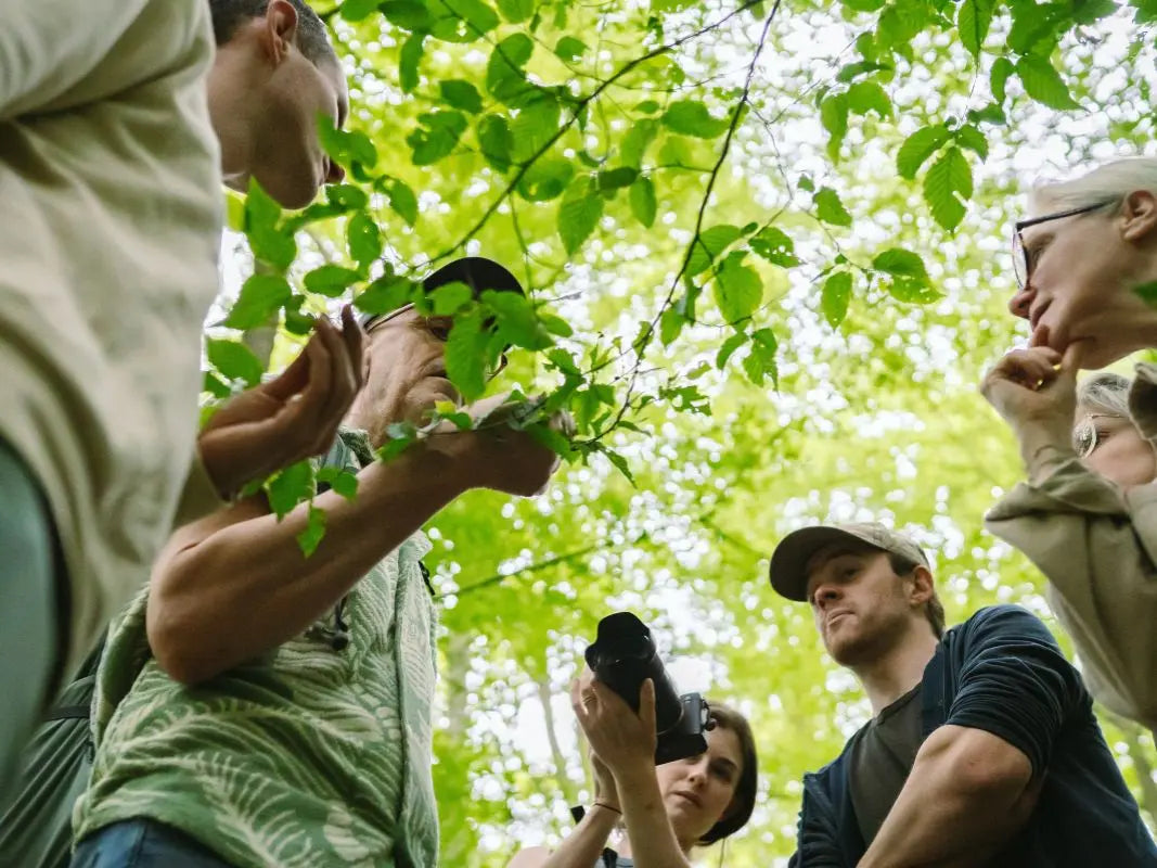 Der Waldcode – den Wald lesen lernen mit Peter Wohlleben