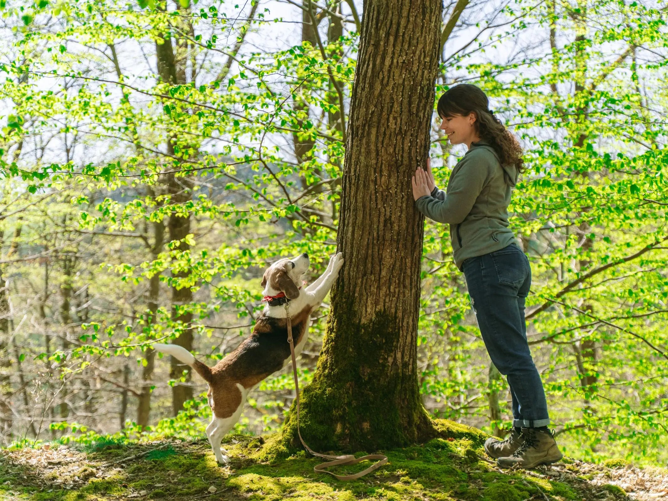 Waldbaden mit Hund
