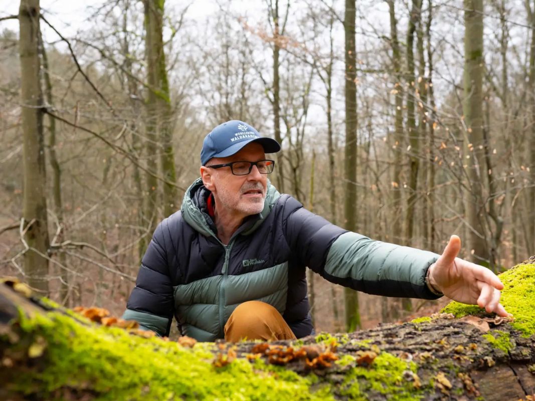 Ein Mann mit Mütze und Jacke zeigt auf Moos an einem umgestürzten Baum in einem blattlosen Wald und vermittelt Erkenntnisse aus Wohllebens Waldakademie über ökologische Waldbewirtschaftung.