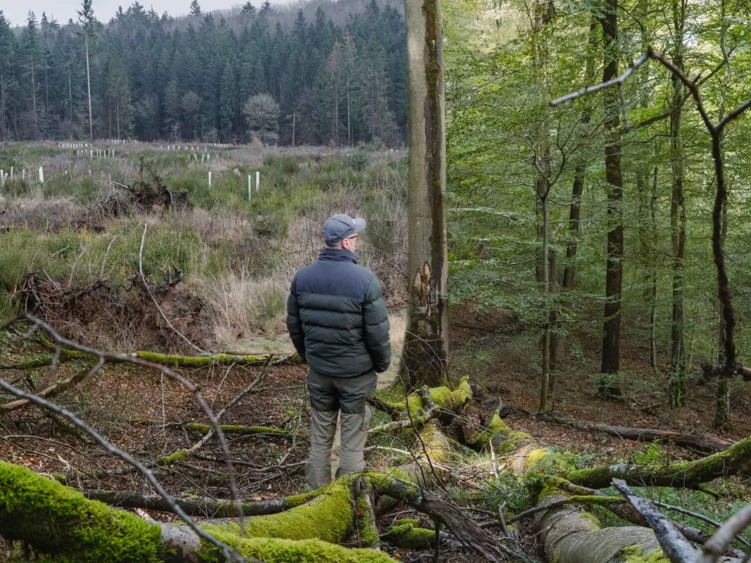 Ein Mann in Jacke und Mütze steht in einer moosbewachsenen Waldlichtung und verdeutlicht das Engagement der Wohllebens Waldakademie für nachhaltige Waldwirtschaft und den Erhalt von Ökosystemen im Klimawandel.
