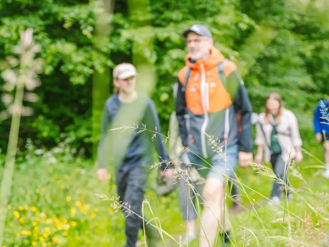 Der Waldcode – den Wald lesen lernen mit Peter Wohlleben
