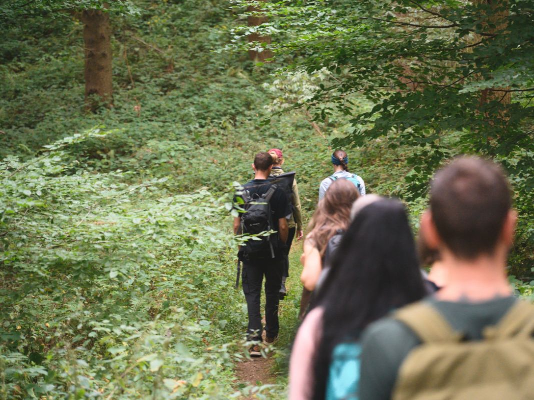 Eine Gruppe von Wanderern mit Rucksäcken geht auf einem schmalen, grünen Waldweg während einer geführten Wanderung der Wohllebens Waldakademie.