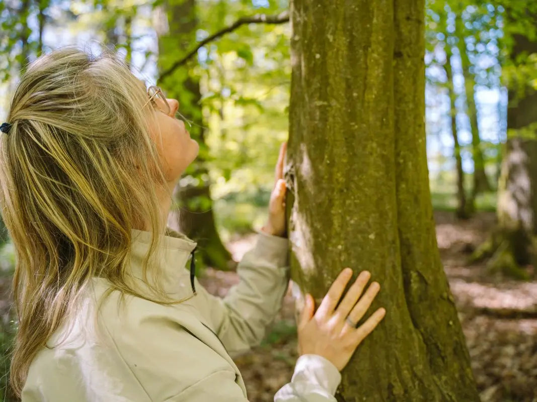 Eine Person mit Brille berührt einen Baum in einem sonnenbeschienenen Wald und ist durch die Waldpädagogik von Wohllebens Waldakademie tief mit der Natur verbunden.