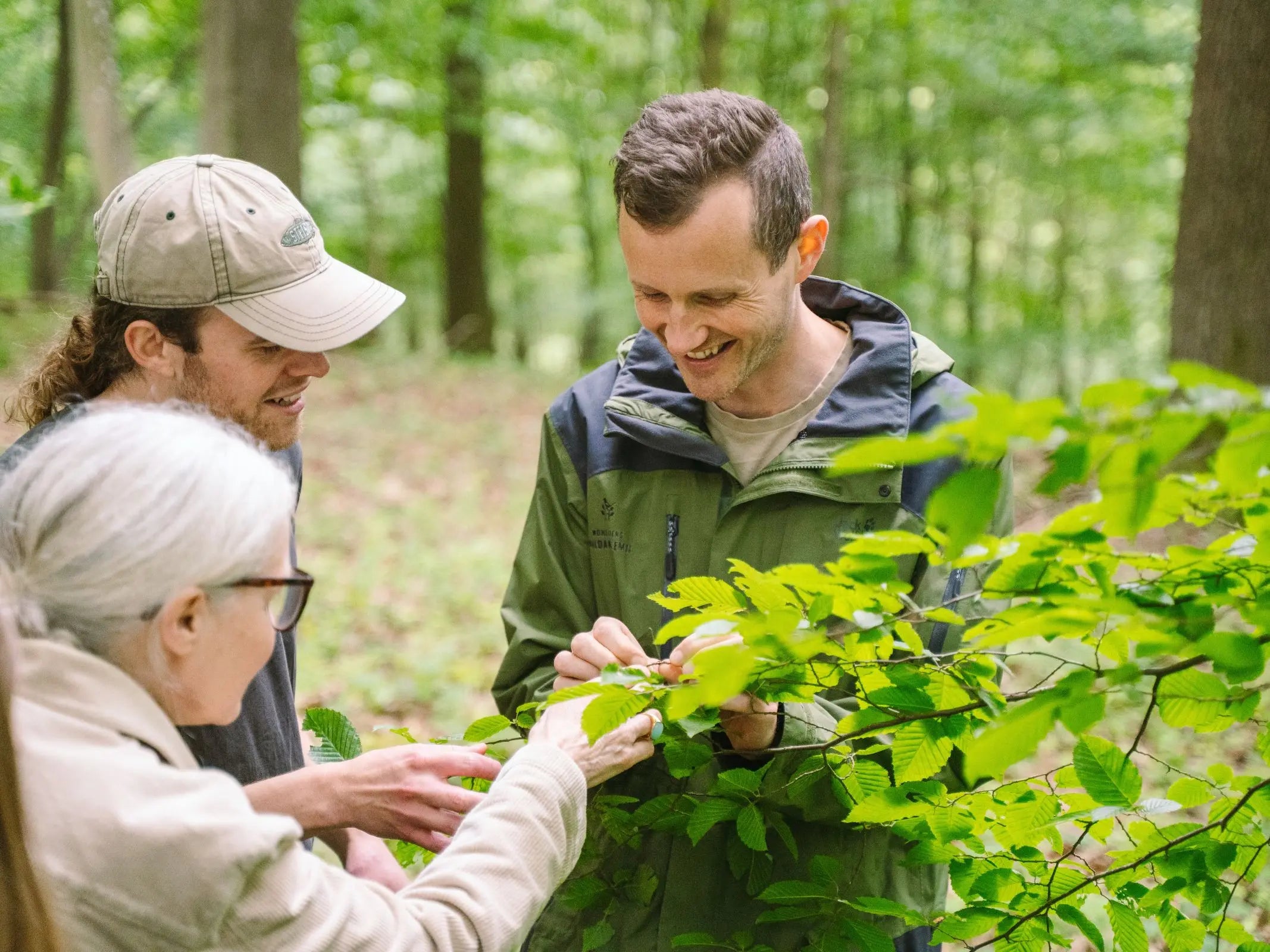 Waldspaziergang & Plausch mit Peter Wohlleben