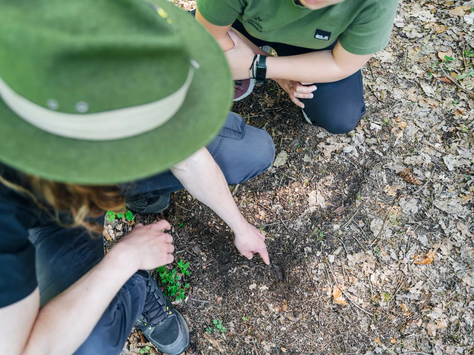 Wanderung auf den Spuren der Waldtiere